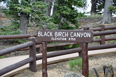 sign: Black Birch Canyon